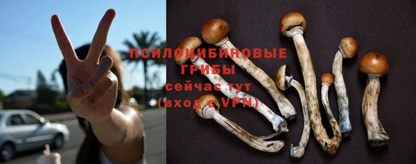 прущая мука Чехов