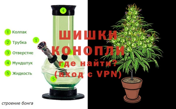 ПСИЛОЦИБИНОВЫЕ ГРИБЫ Алексеевка