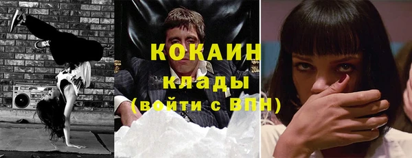 бошки Алексин