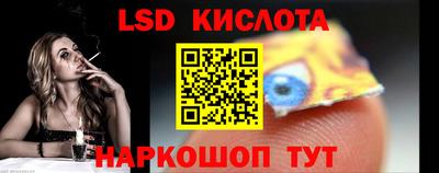 бошки Кингисепп