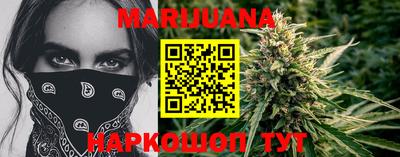 бошки Кингисепп