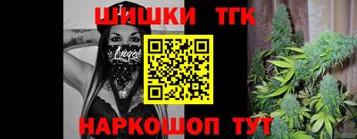 бошки Кингисепп