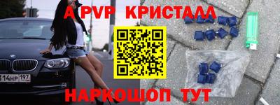 бошки Кингисепп