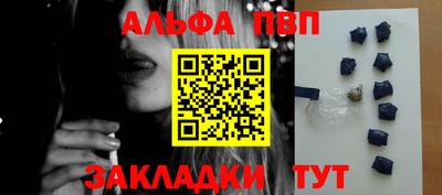 бошки Кингисепп