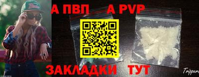 бошки Кингисепп