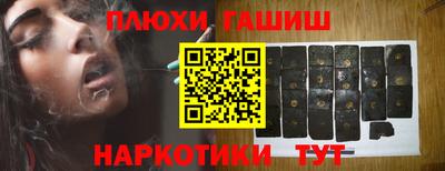 бошки Кингисепп