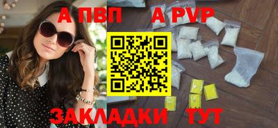 бошки Кингисепп