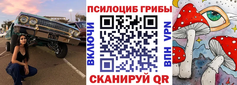 Галлюциногенные грибы мицелий Норильск